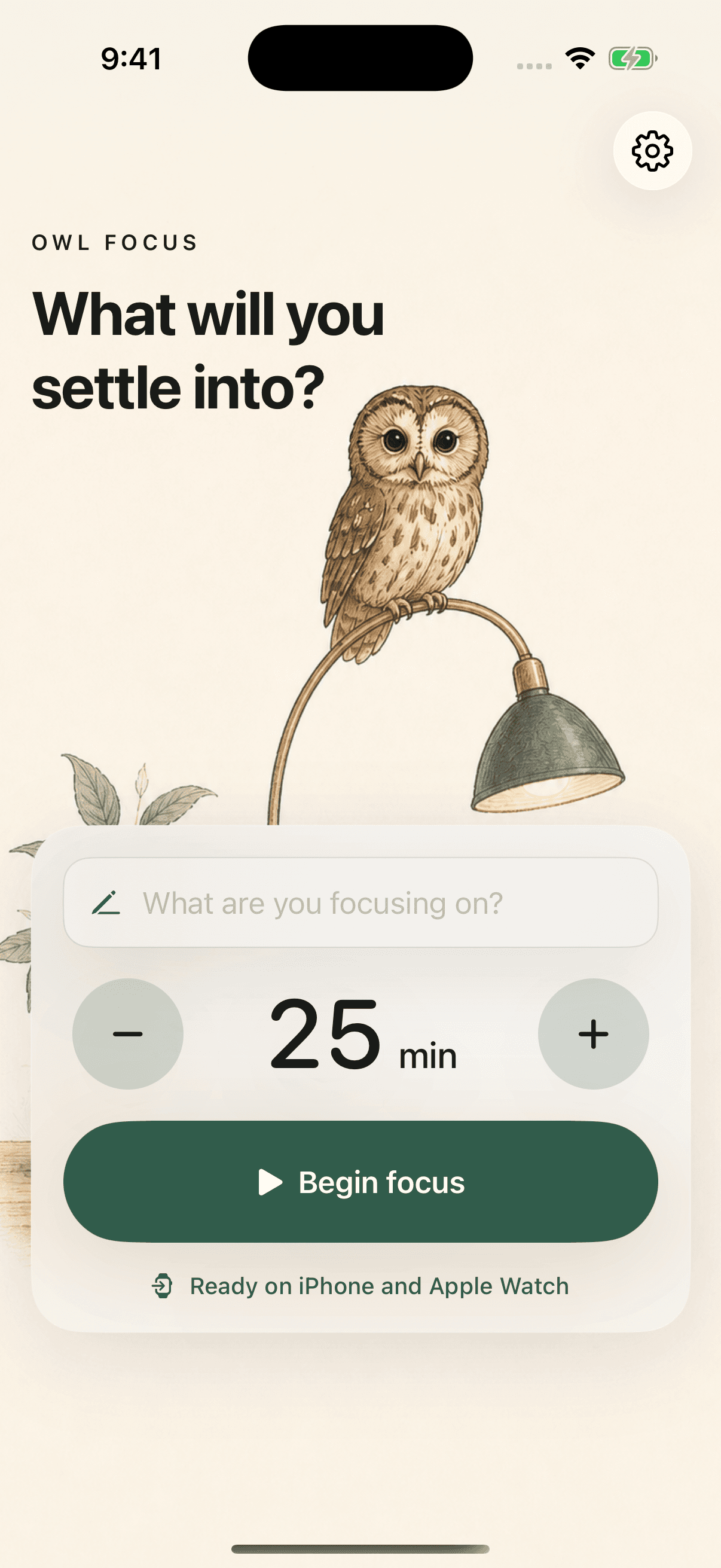 Owl Focus interface
